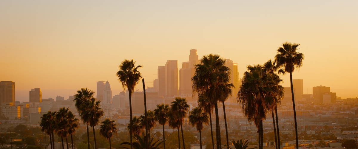 LA Skyline where Penn Elcom has an office