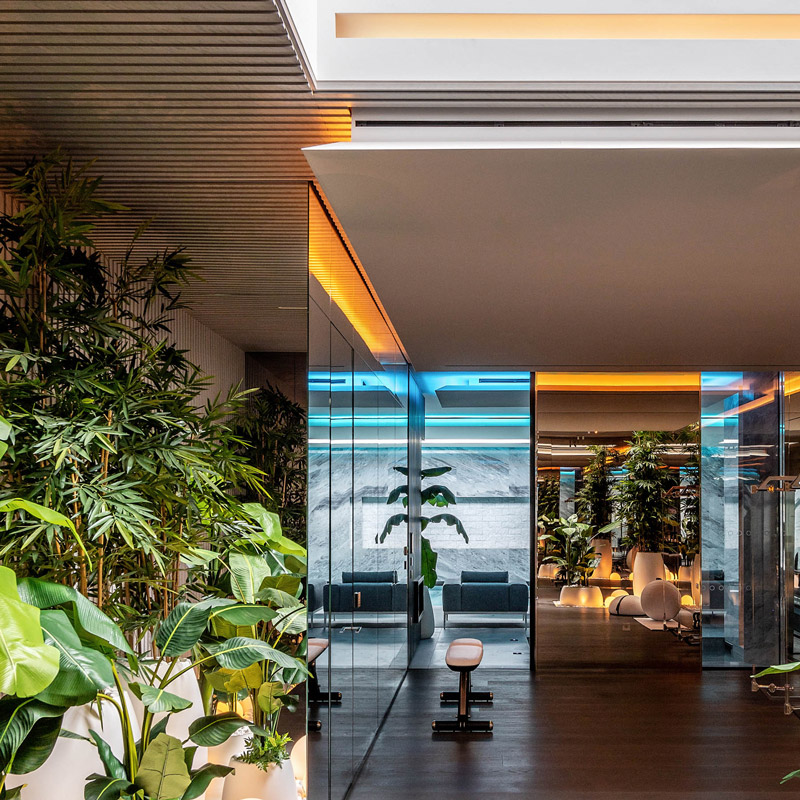 Indoor courtyard area of IO House with greenery, wood panelling and LED lighting strips