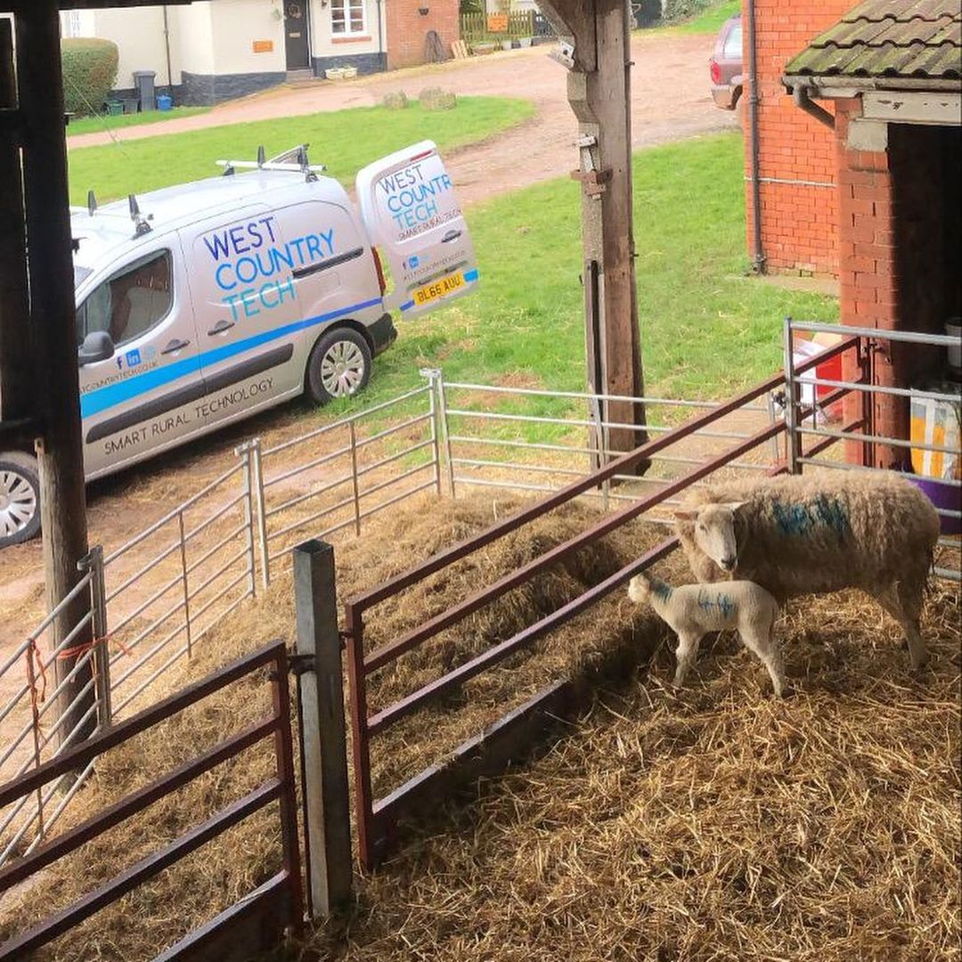West Country tech van next to stable with sheep